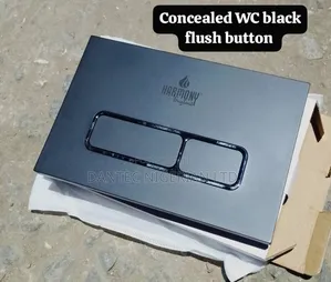 Conceal Wc Flush Plate