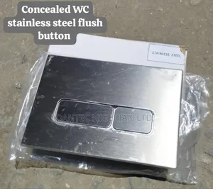 Conceal Wc Flush Plate