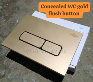 Conceal Wc Flush Plate