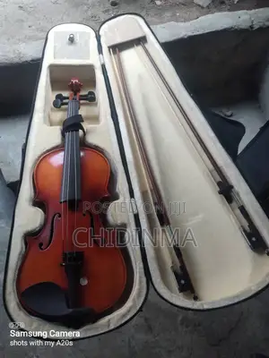 Photo - Violin Large and Small