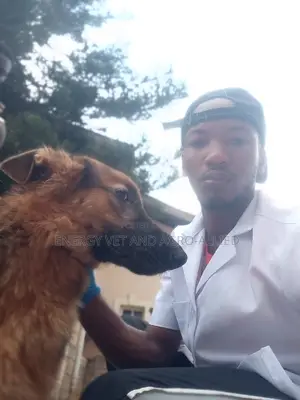 Pet Services