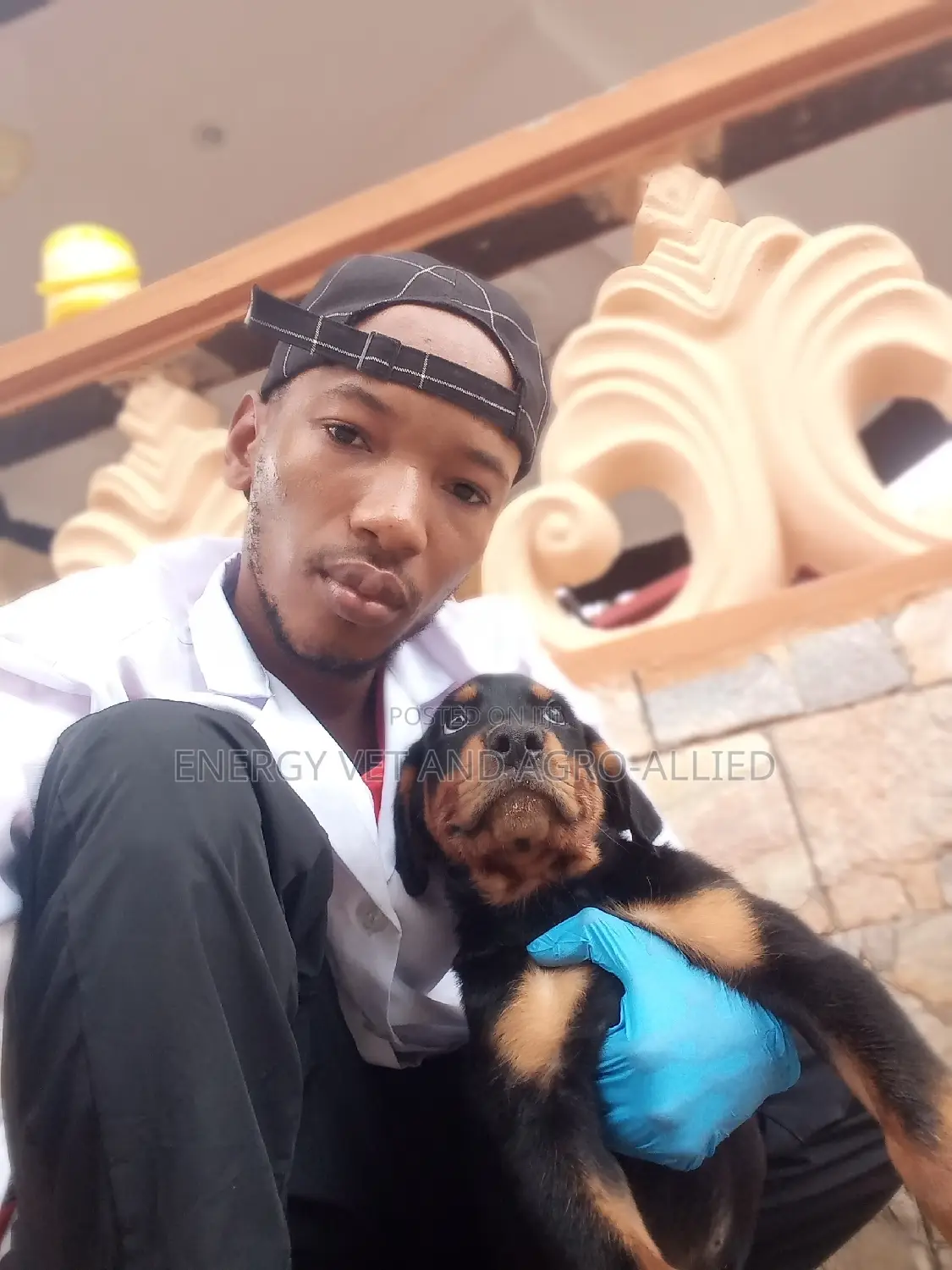 Pet Services