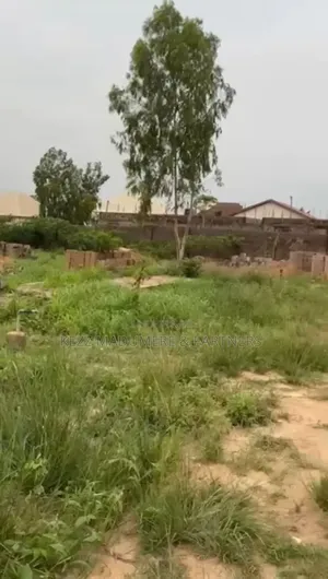For Sale : 20 Plots On Eastwest Rd By Nkpolu Junction, Ph
