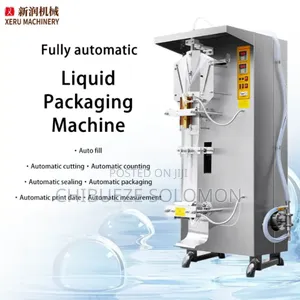 Dingli as 1000 Sachet Water Packaging Machine