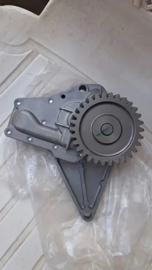 Oil Pump MWM 105 China
