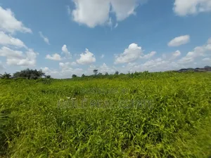Over 400 Acres of Land in Mowe Through Redeem