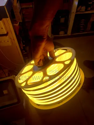 Quality Frosted Rope Light Warm White