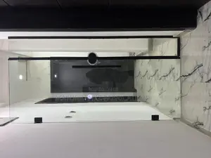Frameless Door With Frosted Effect