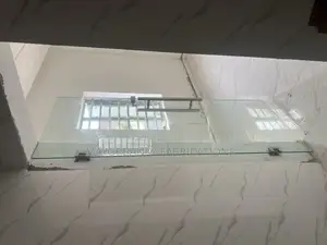 Frameless Entrance Door