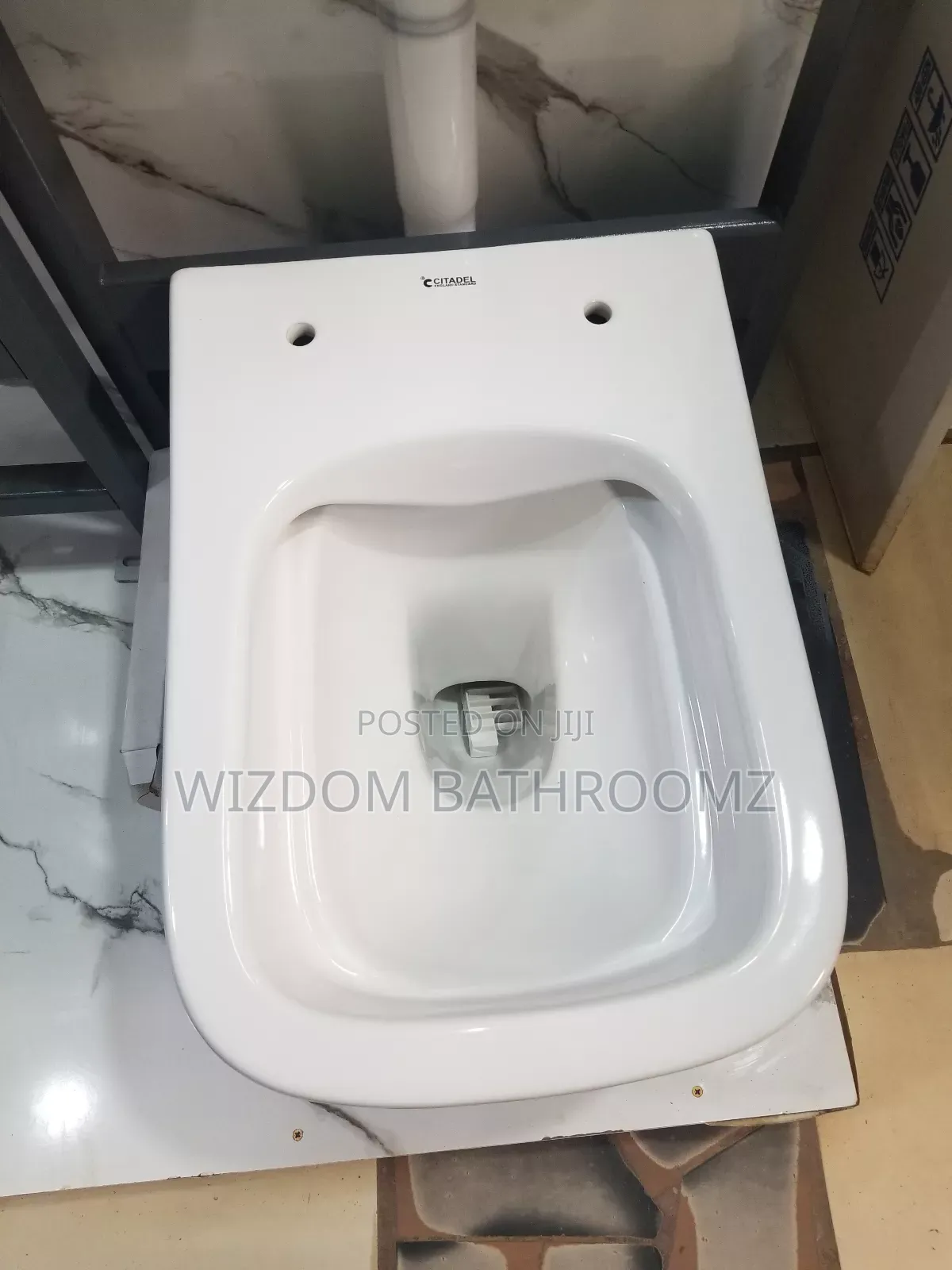 Conduit Wc, Wall Hung