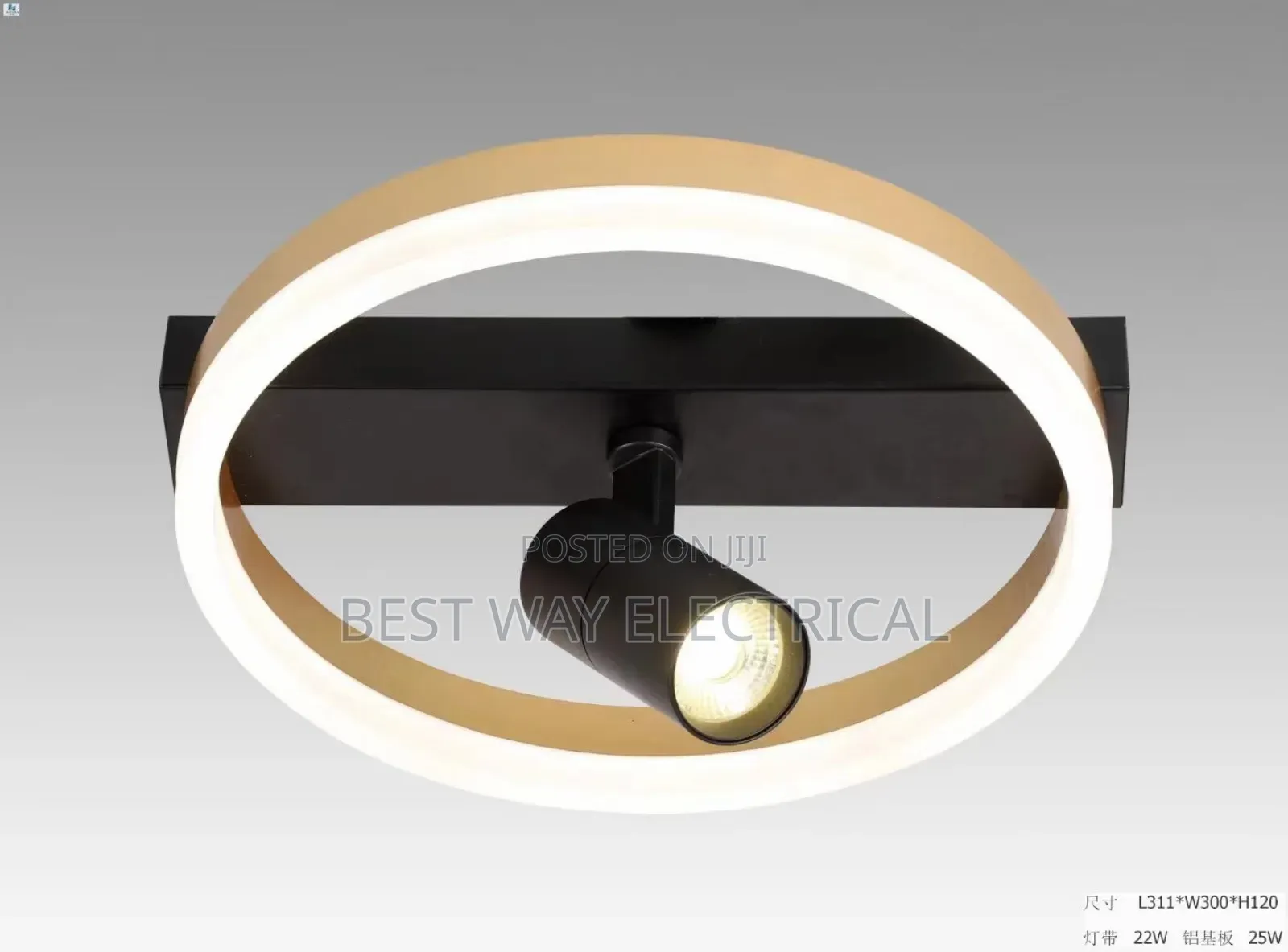 Portable Celling Mounted Light