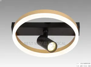 Portable Celling Mounted Light