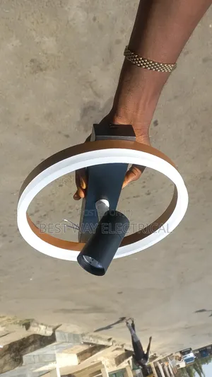 Portable Celling Mounted Light