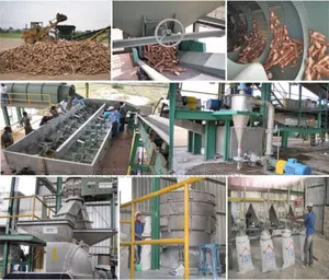 Cassava Flour Processing Plant