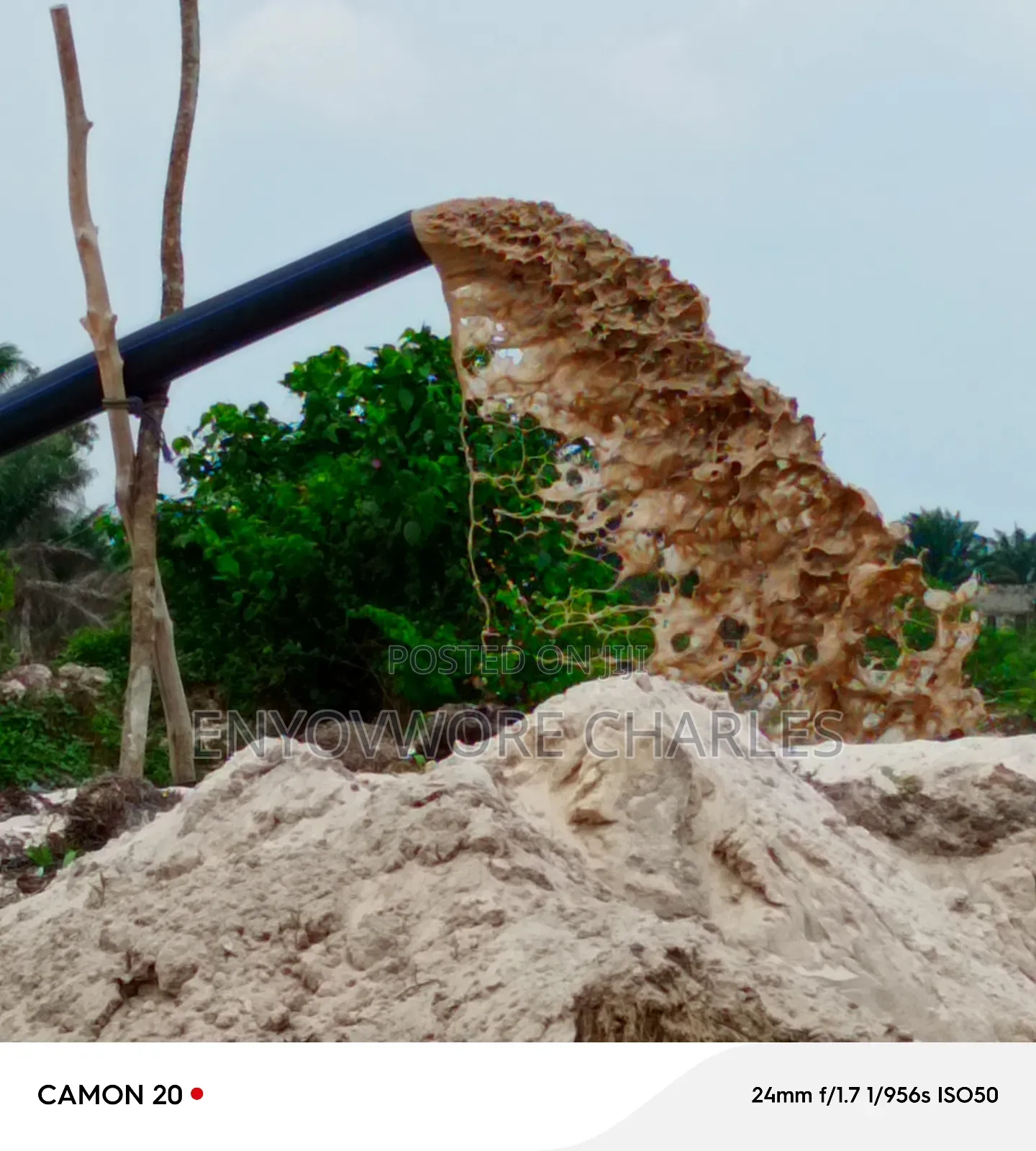 Dredger for Rent