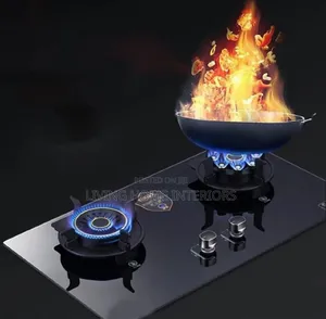 2 Gas Burner