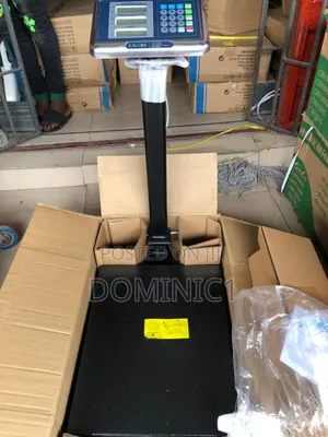 100kg Camry Scale Original