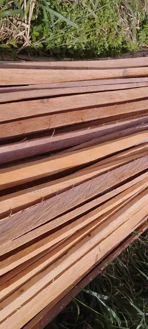Strong Roofing Woods