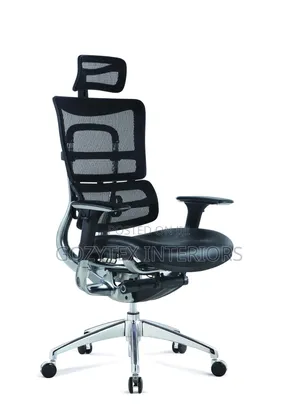 Mesh Executive Ergonomic Office Chair