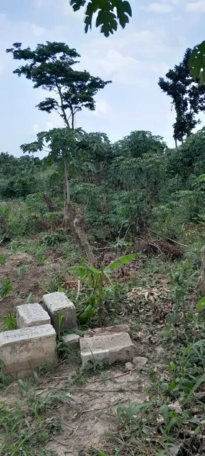 Photo - 3 Plots Of Land Along Ido Omi Adio Road, Ibadan