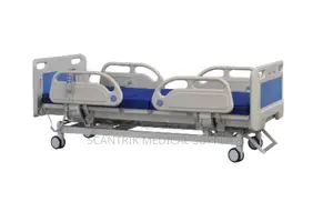 3-Function Electric Nursing Bed