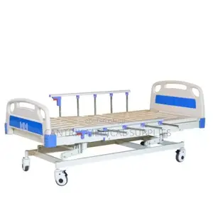 Multi-Function Electric Care Bed