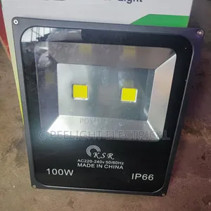 100 Watts Floodlight