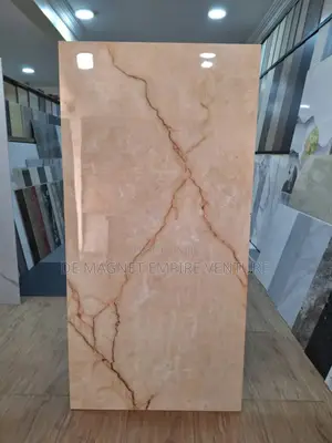 Super Glossy Tiles For Sitting Room