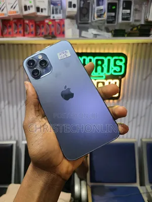 Apple iPhone 12 Pro Max 256 GB Gray