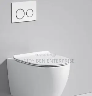 Conceal Wc ( Sitting Wall Hug)