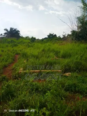 Land Measuring 100*100at Egba