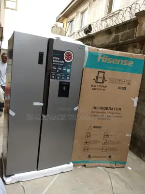 Accessible Hisense Side by Side Refrigerator Rc-67ws