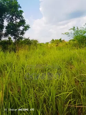 Land Measuring 100*100 at Egba