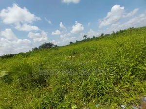 600sqm Full Plot With Demolishable Air Force Shasha Akuwonjo