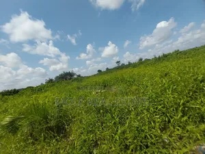700sqm Fenced Gated ( Roi)Facing Oba Akran Way Ikeja