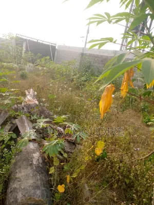 Land in Good Location