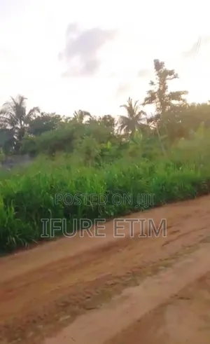 Photo - Land for Sale