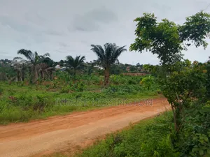 25 Plots of Land 4sale,