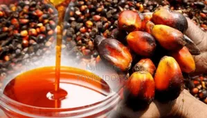 Fresh Palm Oil