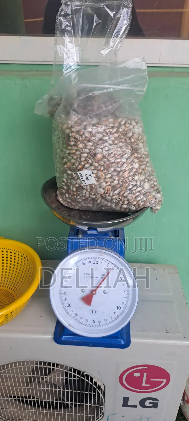 Castor Seed (1kg) Organic