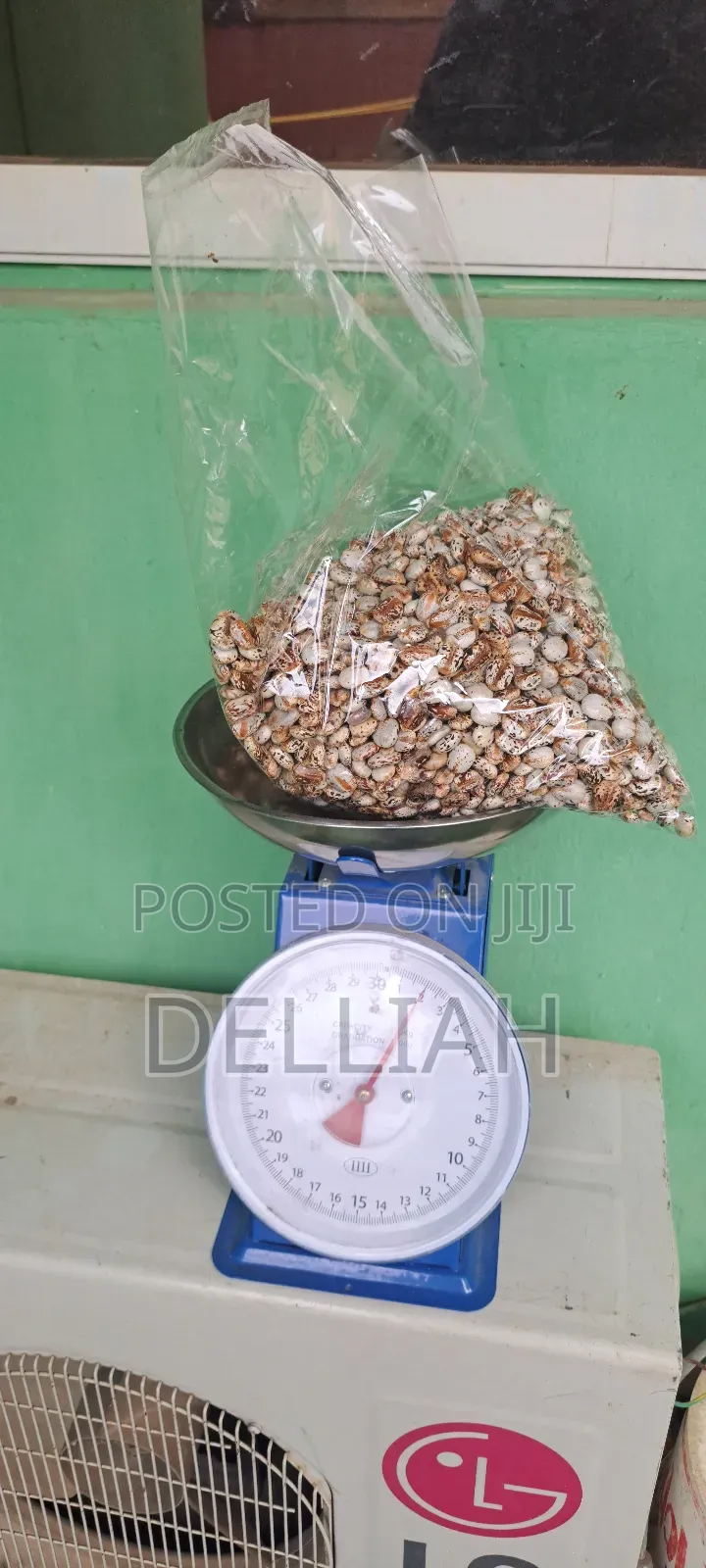 Castor Seed (1kg) Organic