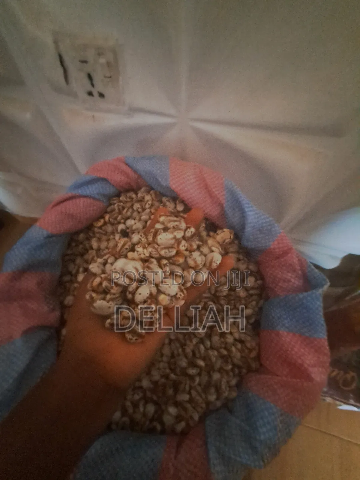 Castor Seed (1kg) Organic