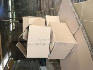 Carton Box