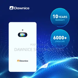 Dawnice 10kwh Lov Voltage Home Wall Mounted Lithium Battery
