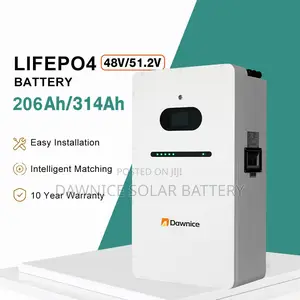 Dawnice 51.2v 314ah 16kw Lifepo4 Lithium Ion Batteries
