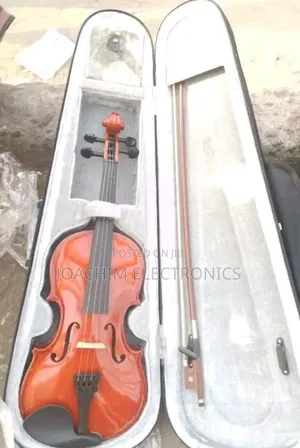 Professional Violin 4/4