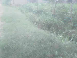 5 Acres of Land Along Ikorodu Ishagamu Rd Lagos State