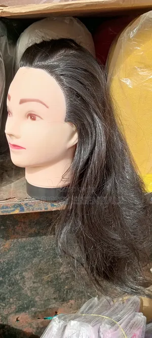 Mannequin Dummy Head With Hair
