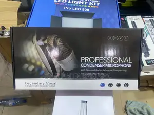 Professional Condenser Microphone