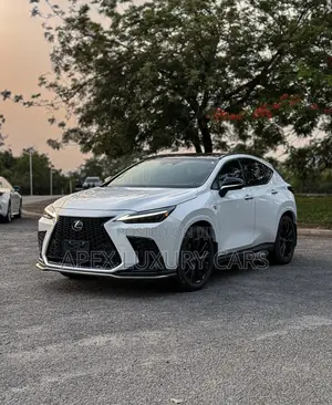 Lexus RX 2022 White